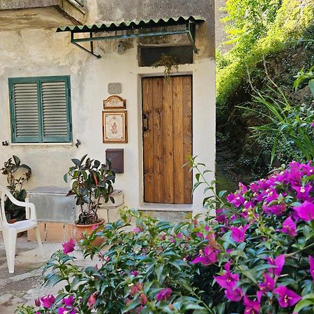 Appartamento Nel Borgo - Casa Del Pellegrino Sulla Via Francigena Aulla Luaran gambar